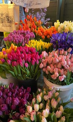 colorful tulips and other flowers are on display at the flower market for sale