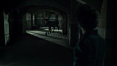 a person standing in a dark hallway with a deer