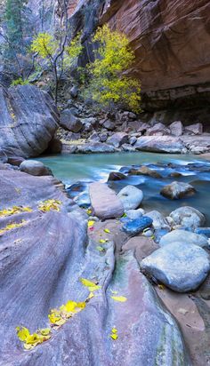 Preparing to hike the Narrows of Zion National Park? Let the website pin help you prepare! From hiking tips, to what to wear, there's a lot to know before you hike this 14 mile trail! Get all the details and get ready for an awesome trip! #ZionNationalPark #TheNarrows The Narrows Zion National Park, Escalante Utah, Angels Landing, Utah Hikes, National Parks Map