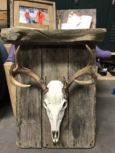 an animal skull mounted on the side of a wooden box with antlers hanging from it's sides