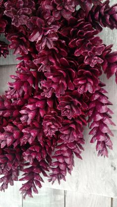 a bunch of purple flowers hanging from the side of a wooden wall in front of a white fence