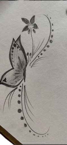 a drawing of a butterfly on white paper