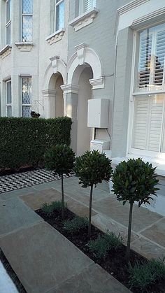 two small trees in front of a white building