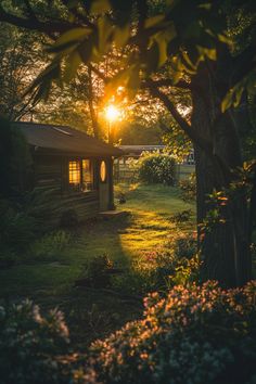 the sun shines brightly through the trees in front of a small house