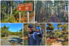 four different pictures with trees and signs in the middle one has a man holding a child