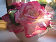 a pink rose in a white vase on a window sill