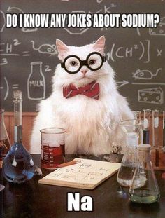 a white cat wearing glasses and bow tie sitting in front of a blackboard with chemical symbols