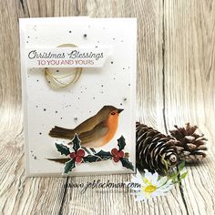 a christmas card with a bird on it and pine cones next to it, sitting on a wooden surface