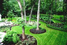 a lush green yard with lots of trees