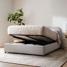 a bed with a mattress on top of it and a plant in the corner next to it