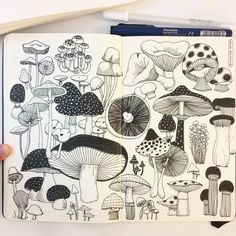 an open notebook with black and white illustrations on it, featuring mushrooms in the background