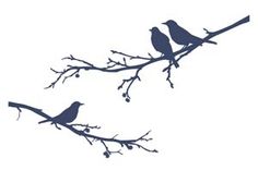 two birds are sitting on the branch of a tree, one is black and white