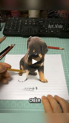 a person is drawing a small dog with pencils