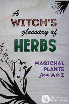 A handy key to the herbs of witchcraft. Each of the herbs listed has its own character and magickal properties. They are revealed to the Witch through study, me Must Have Spices And Herbs, Lemon Oil Magical Properties, Wiccan Herbs And Uses, Bittersweet Nightshade Witchcraft, Herbs For Truth Spell, Most Common Herbs Used In Witchcraft, Hyssop Magical Properties, Herbs List