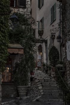 an alleyway with stone steps leading up to the building and green plants on either side