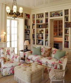 a living room filled with lots of furniture and bookshelves next to a fire place