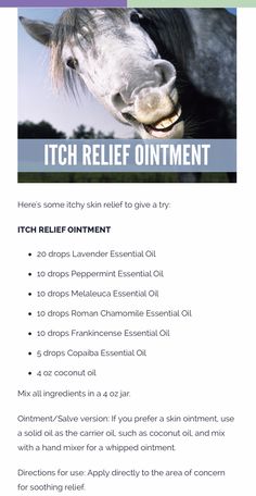 a flyer with an image of a horse's face and the words itch relief ointment