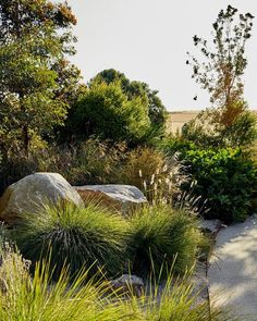 an outdoor garden with large rocks and grass