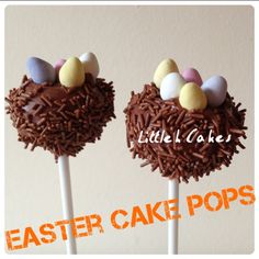 two cake pops with chocolate frosting and eggs on them