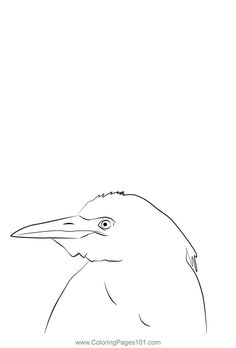 a black and white drawing of a bird with long beaks, looking up at the sky