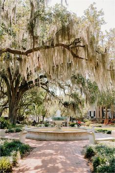 a fountain surrounded by trees with spanish moss hanging from it's branches in a park