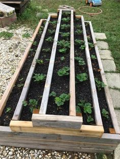 a garden bed made out of wooden boards and some plants growing in it on the ground