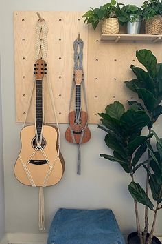 two guitars are hanging on the wall next to a potted plant and a bench