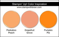 four different shades of brown, red, and white paint with the words stampin'up color inspirationation