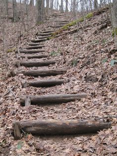 a set of wooden steps made out of logs in the middle of leaf covered ground