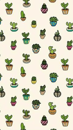 many different kinds of cactus in pots on a white background with green and blue accents