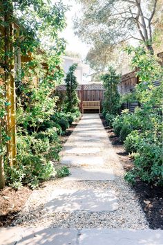 a walkway in the middle of a garden with trees and bushes on either side, leading to a wooden fence