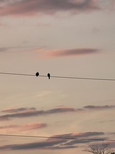 two birds sitting on an electric wire in the sky at sunset or dawn with pink clouds