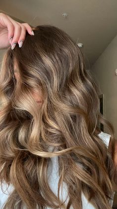 Chocolate Brown Hair With Blonde Highlights Caramel, Hilights On Brunettes, Highlights For Light Brown Curly Hair, Light Brown Hair By Hair Pattern, Blonde Burnett Balayage, Brown Hair Colors With Lowlights Caramel, Hailait Hair Color, Highlited Hair Brown, Bronzed Brown Hair Color