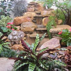 a garden filled with lots of rocks and plants