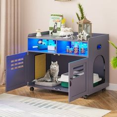 Cat litter box ideas Entry Way Door, Goth Apartment