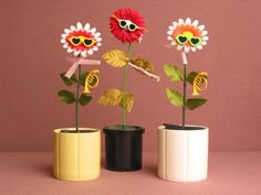 three vases with fake flowers in them on a pink background, one has sunglasses and the other has sun glasses