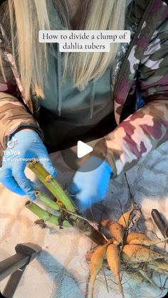 a woman in blue gloves is cutting carrots