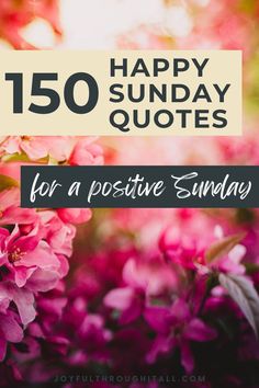 good morning happy sunday quotes for a Positive blessed Sunday Morning Blessed Sunday Morning, Quotes Blessed, Happy Day Quotes, Good Morning Happy Sunday, Blessed Sunday, Happy Sunday Quotes, Sunday Quotes, Feeling Positive