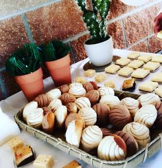 a table topped with lots of different types of cookies next to potted cacti