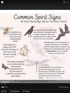 Crow Signs, Animal Meanings, Spirit Signs, Tarot Significado, Animal Spirit Guides