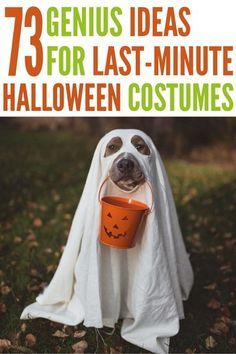 a dog dressed up as a ghost with a cup in its mouth and the words genius ideas for last - minute halloween costumes