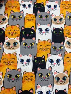 a group of cats with different colored eyes are on a yellow and black background that is very similar to each other