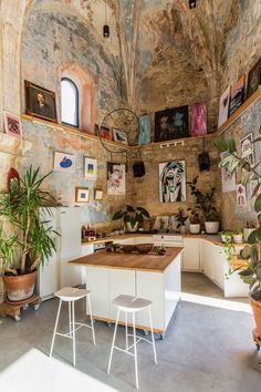 a kitchen with an island and potted plants