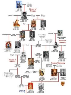 a family tree with many pictures and words on the bottom row, including an image of a