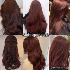 Gold Mahogany Brown Hair, Best Hair Colors For Tan Skin, Hair Colors For Warm Undertones, Brown With Red Undertones, Mahogany Hair Color, Hair Color Mahogany, Mahogany Hair