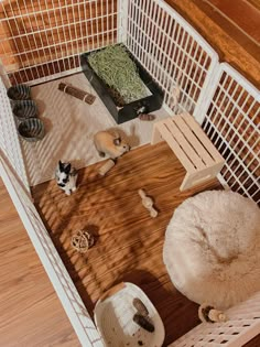 two small dogs are sitting in their kennels and one is looking down at the floor