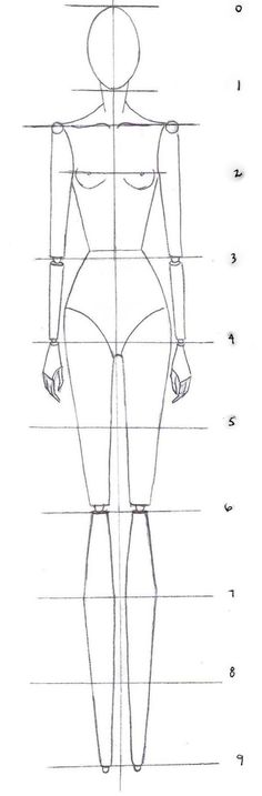 a drawing of a woman's body, with the measurements for each part of her body