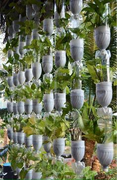 many vases with plants growing in them hanging from the ceiling and surrounded by greenery