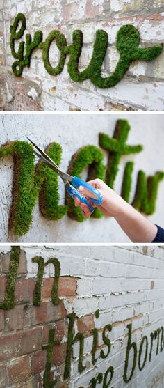 moss growing on the side of a brick wall with scissors cutting it into letters that spell out grow