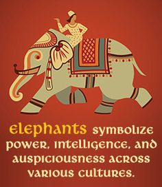 an elephant with the words elephants symbolize power, intelligence and auspiciousness across various cultures